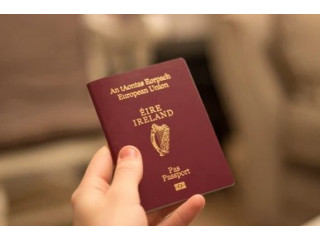 HID предоставит систему для паспортной службы Ирландии