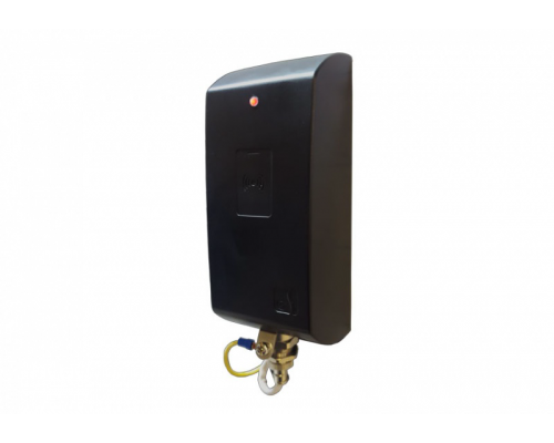 ELSYS ELSYS-SW19-EH ИСП. 1 Считыватель