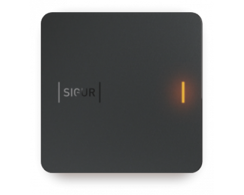 SIGUR MR1 Считыватель