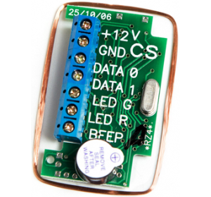 IRON LOGIC RZ4 Считыватель